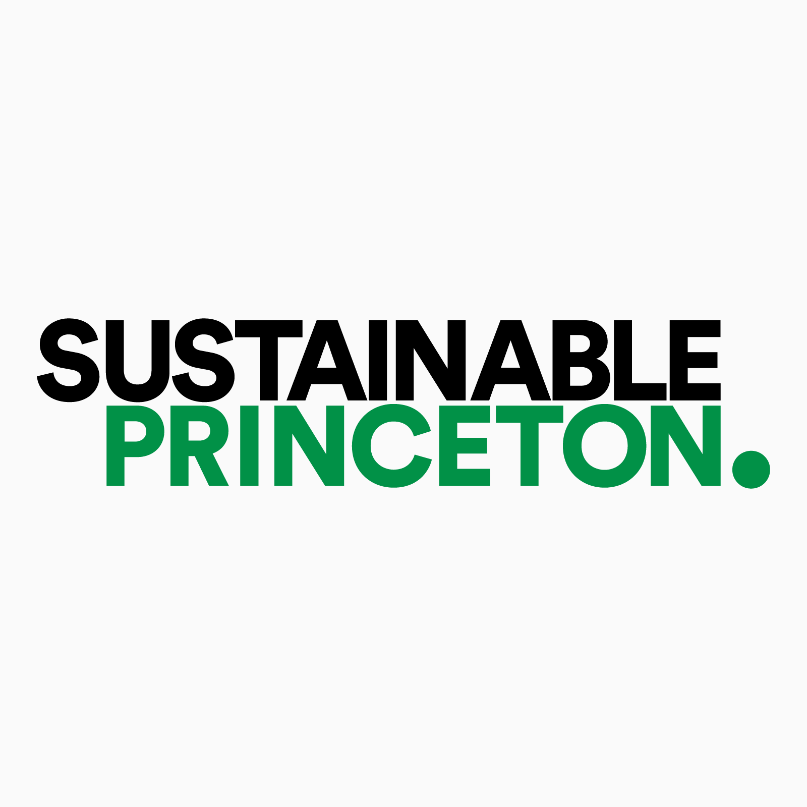 Sustainable Princeton Identity